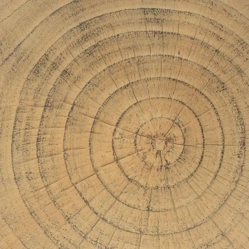 Table d'appoint ronde creuse MGO, finition grain de bois noir naturel, intérieur/extérieur